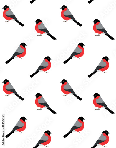 Vector seamless pattern of hand drawn flat bullfinch bird isolated on white background