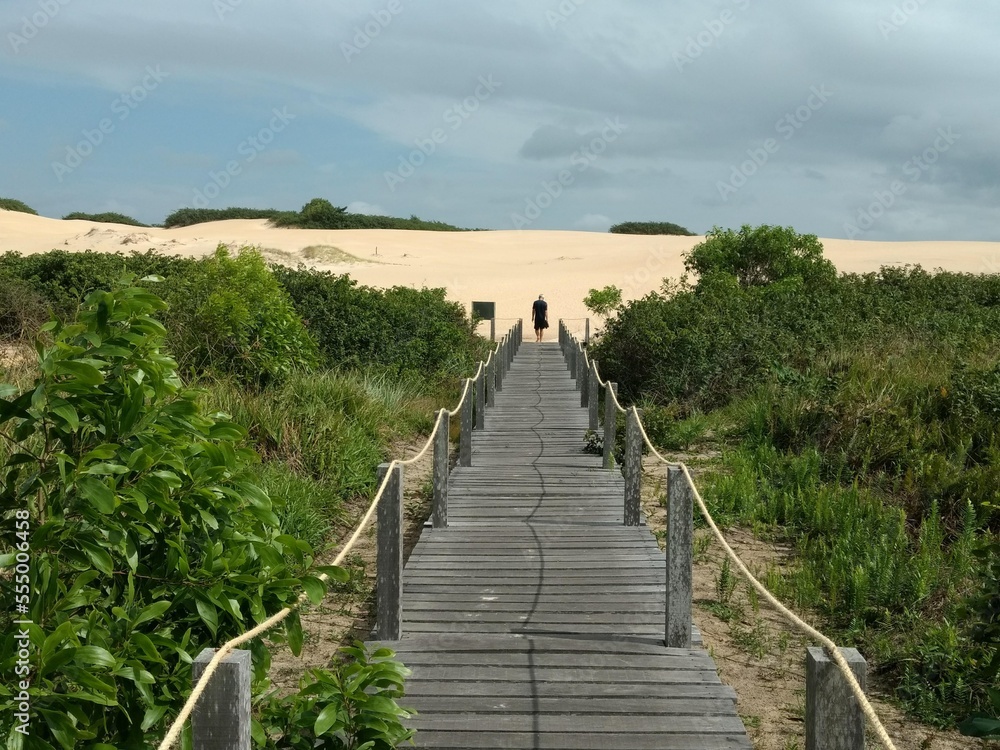 Fototapeta premium path to the beach