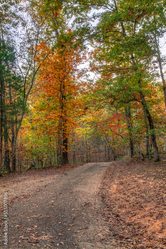 Autumn Ride. A gravel road in Sam A. Baker State Park leads into a canopy of tall trees in prime foliage. 