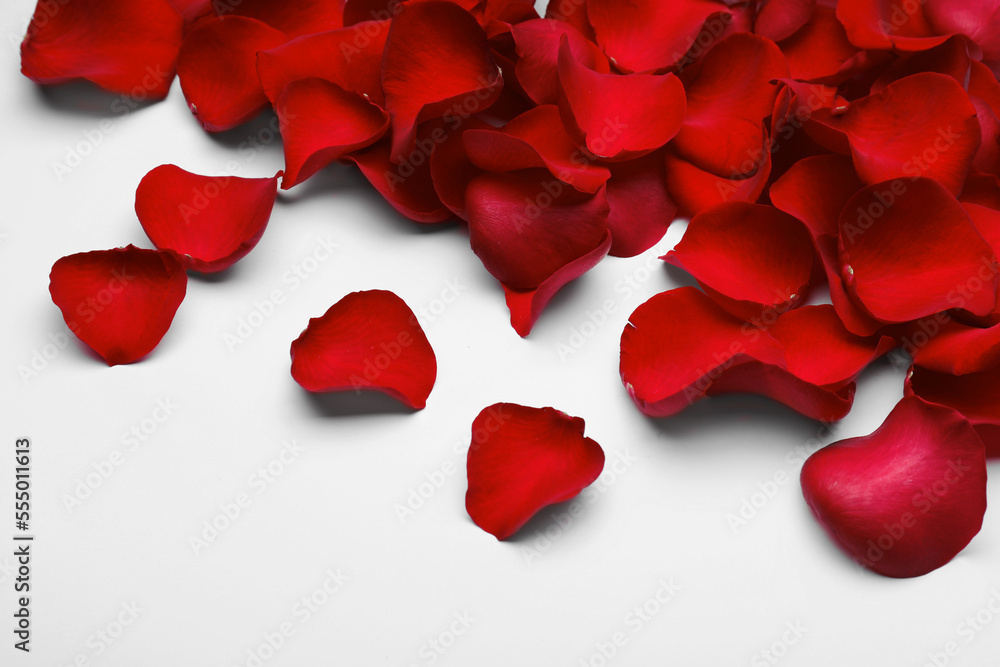 Pile of red rose petals on white background Pile of red rose petals on white background