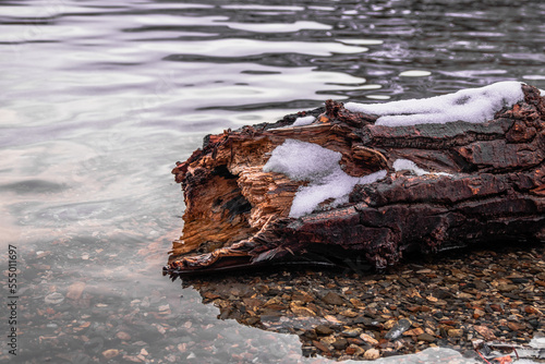 log with ice in a lake during winter