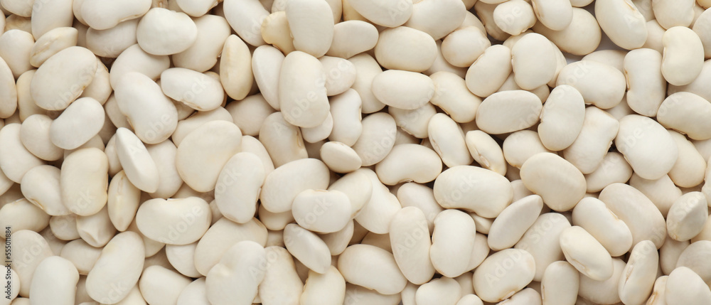 White beans as background, top view. Banner design White beans as background, top view. Banner design