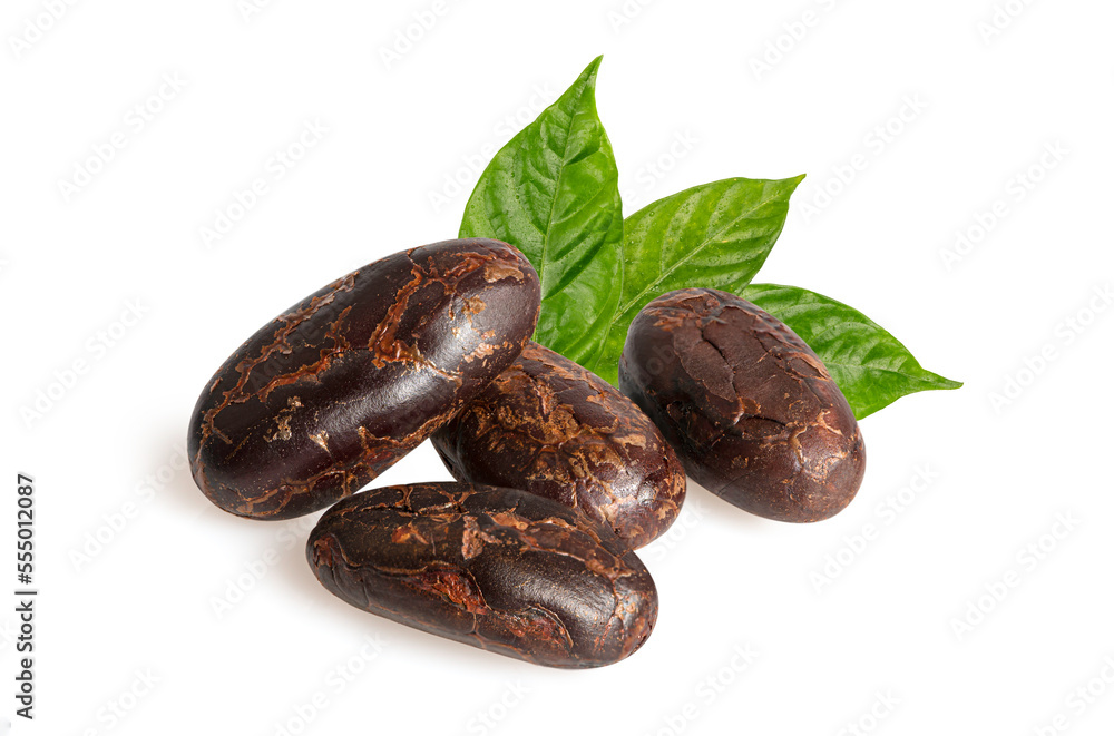 Close up ,Cocoa bean with leaves isolated on white background. Close up ,Cocoa bean with leaves isolated on white background.