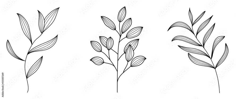 Set of hand drawn line art leaf branch vector. Botanical leaf branch collection of black white drawing contour simple style. Design illustration for prints, logos, cosmetics, poster, card, branding. Set of hand drawn line art leaf branch vector. Botanical leaf branch collection of black white drawing contour simple style. Design illustration for prints, logos, cosmetics, poster, card, branding.