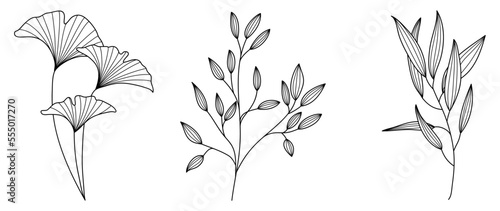 Set of hand drawn line art leaf branch vector. Botanical leaf branch collection of black white drawing contour simple style. Design illustration for prints, logos, cosmetics, poster, card, branding.