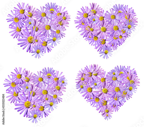 Flowers heart PNG, Aster flowers PNG, Blue aster layout,  Chrysanthemums blossom, Flowers heart shape, Flowers and hearts, Background png, Aster composition, transparent background