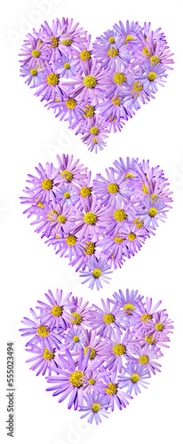Flowers heart PNG, Aster flowers PNG, Blue aster layout,  Chrysanthemums blossom, Flowers heart shape, Flowers and hearts, Background png, Aster composition, transparent background