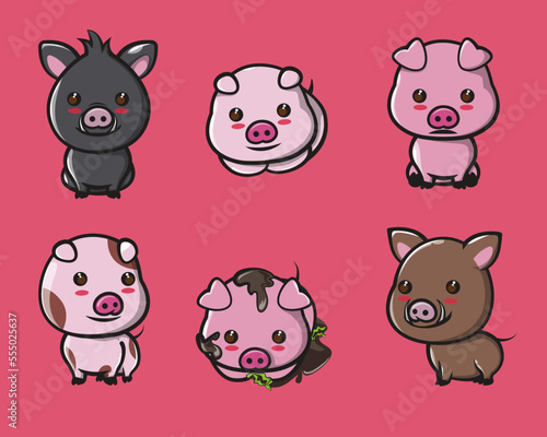 all kinds of cute pigs