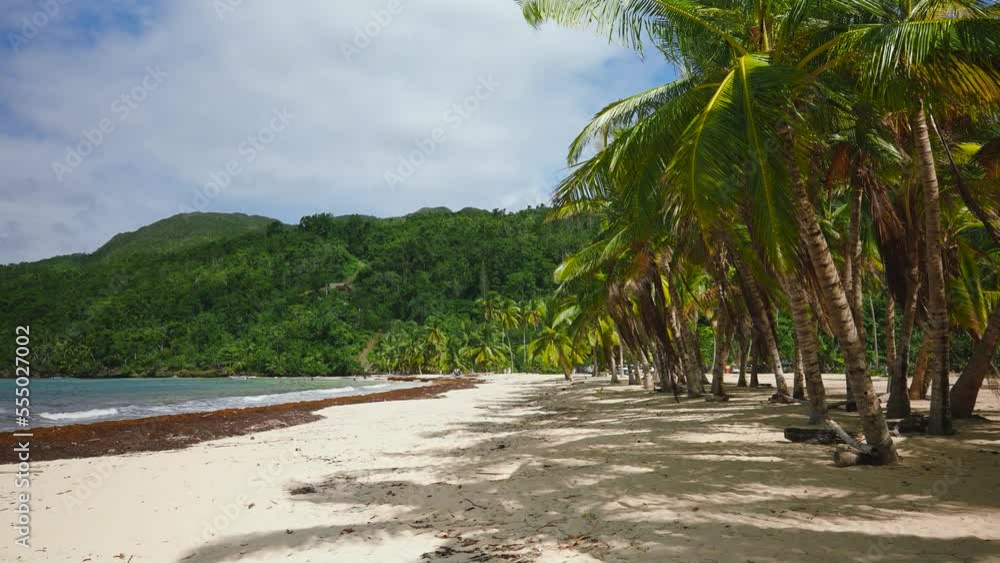 Landscape view of the Dominican palm beach on the sea coast. Beach space zone background. Bright palm trees on white sand on a sunny day. Wildlife of the Dominican Republic. Landscape view of the Dominican palm beach on the sea coast. Beach space zone background. Bright palm trees on white sand on a sunny day. Wildlife of the Dominican Republic.