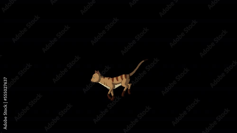 Red Tabby Cat runs back and forth. Handmade animated looped HD footage isolated on alpha channel Red Tabby Cat runs back and forth. Handmade animated looped HD footage isolated on alpha channel