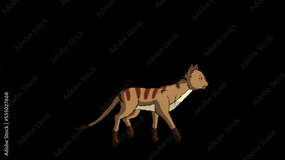Red Tabby Cat moves from place to place. Handmade animated HD footage isolated on alpha channel Red Tabby Cat moves from place to place. Handmade animated HD footage isolated on alpha channel