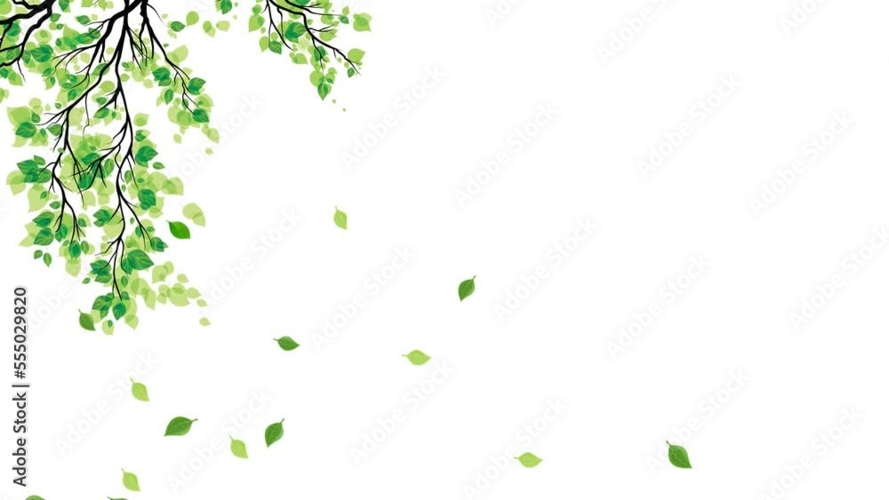 Green falling autumn leaves. 3D animation nature tree with white background Green falling autumn leaves. 3D animation nature tree with white background