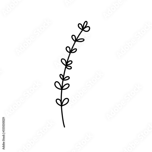minimalist art line twig leaves illustration