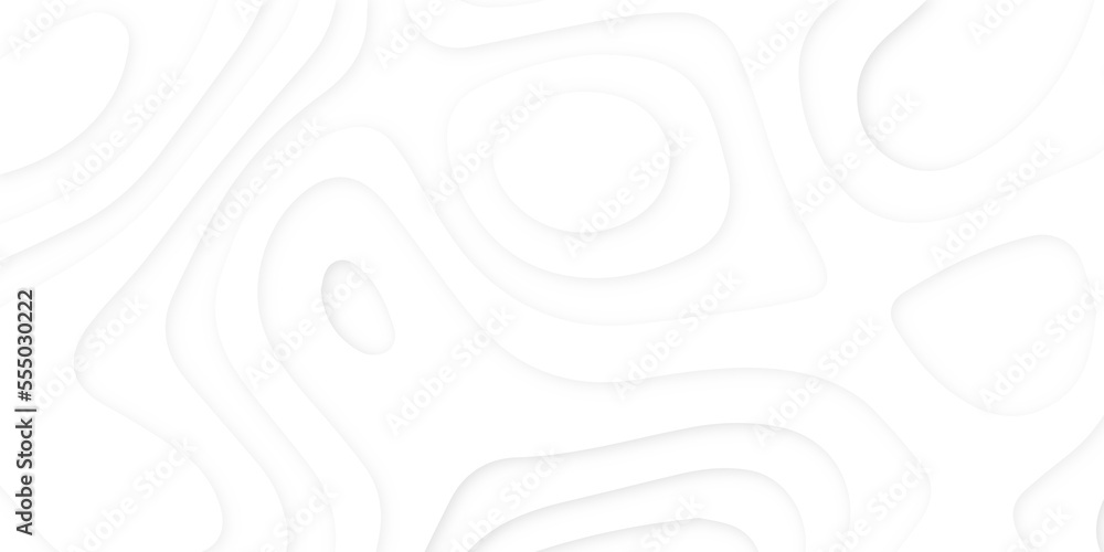 Abstract wavy line 3d paper cut white background. Topographic canyon geometric map relief texture with curved layers and shadow. Abstract realistic papercut decoration textured with wavy layers	