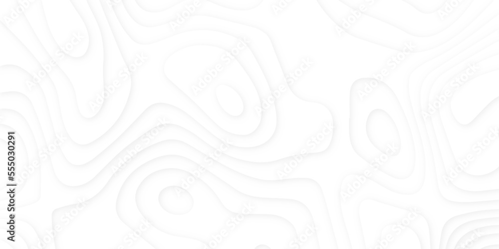 Abstract wavy line 3d paper cut white background. Topographic canyon geometric map relief texture with curved layers and shadow. Abstract realistic papercut decoration textured with wavy layers Abstract wavy line 3d paper cut white background. Topographic canyon geometric map relief texture with curved layers and shadow. Abstract realistic papercut decoration textured with wavy layers