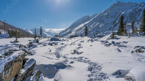 Stones under a layer of snow are scattered across the valley. The chain of footprints is trampled in snowdrifts. In the distance -three people walking forward. Coniferous trees, mountains. Altai