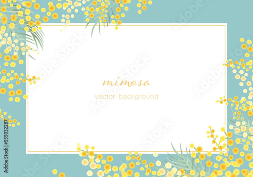 ミモザのベクターイラストフレーム背景