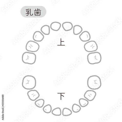 乳歯列 白黒シンプル
