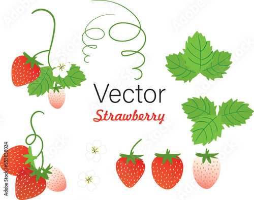 Set of strawberries with leaves