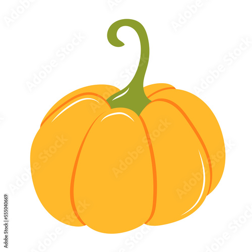 illustration of pumpkin on a white background