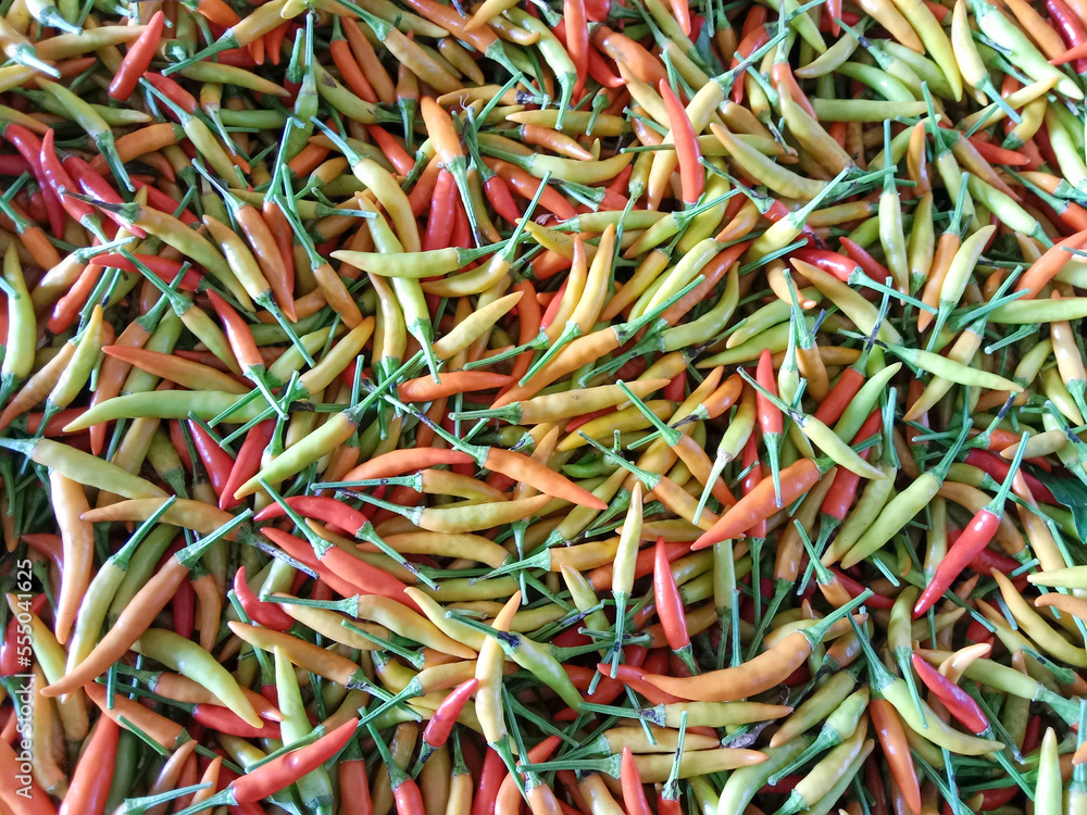 Chili peppers. Chili peppers background. Red hot chili peppers. Colorful chili peppers. Top view pile of fresh chili. 