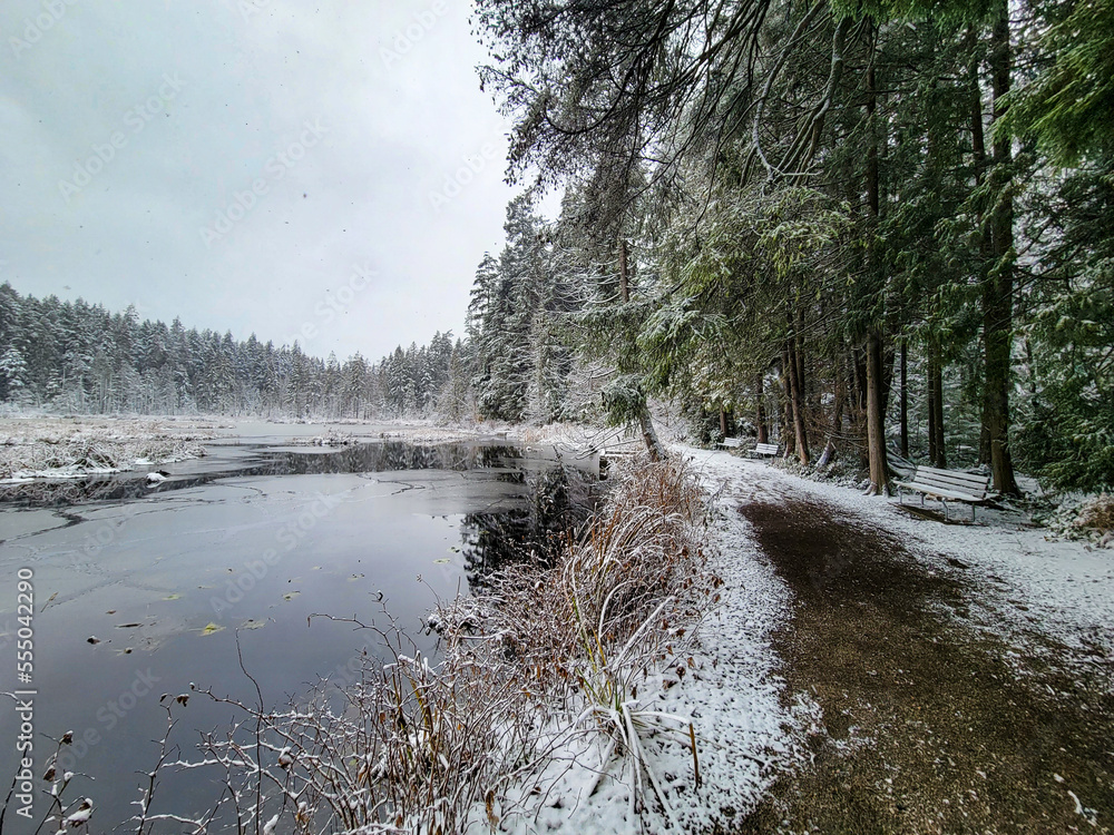 Path along reflective lake in the snow Path along reflective lake in the snow