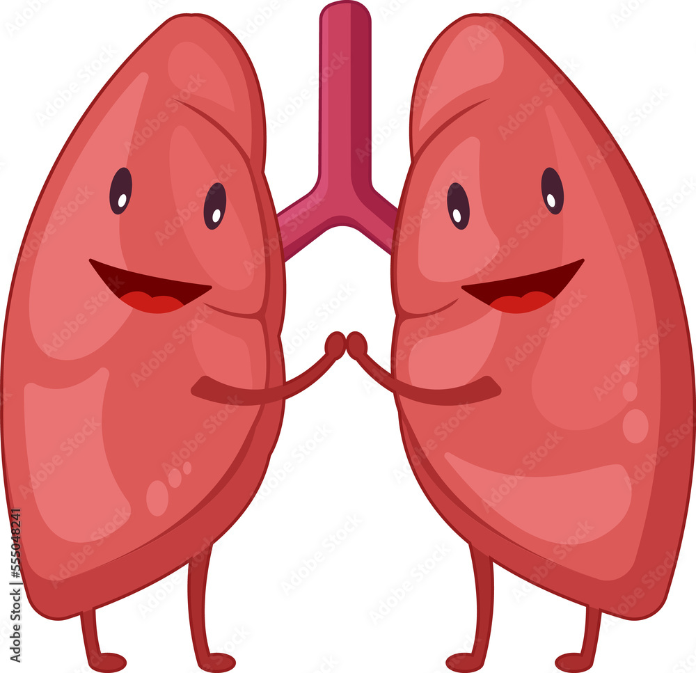 Fototapeta premium Lung of human . Cartoon characters .
