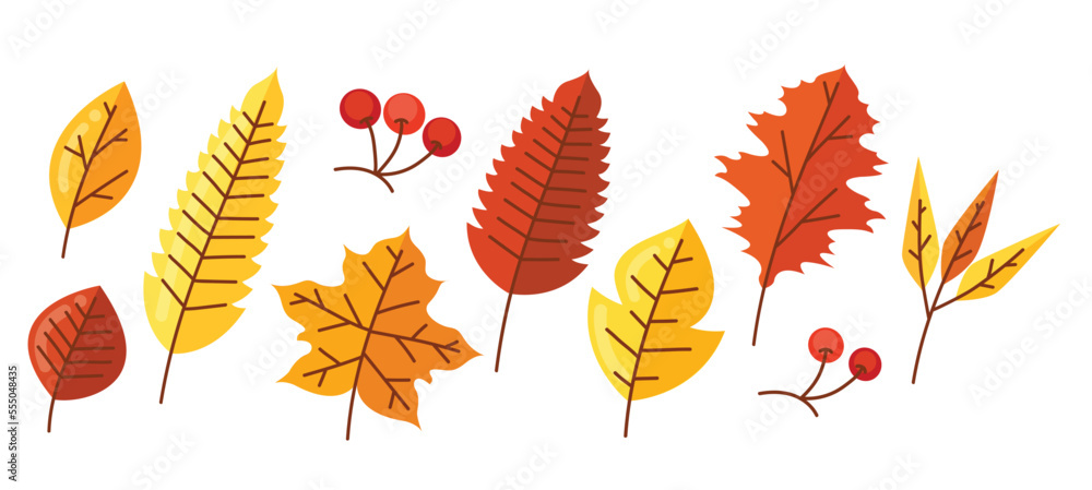 Autumn leaves elements vector illustration Autumn leaves elements vector illustration