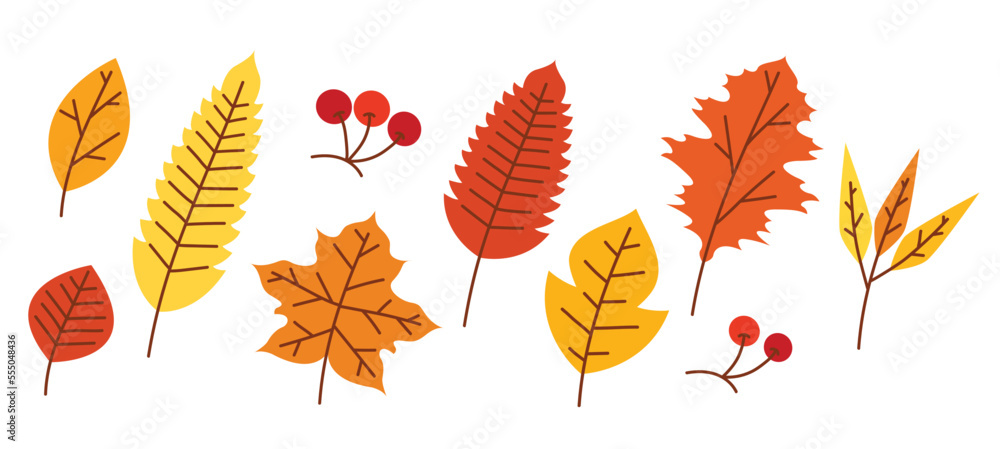 Autumn leaves elements vector illustration