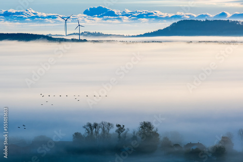 Landscape view a misty morning with flying birds