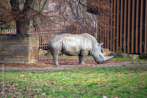 Zoo Śląskie, Chorzów