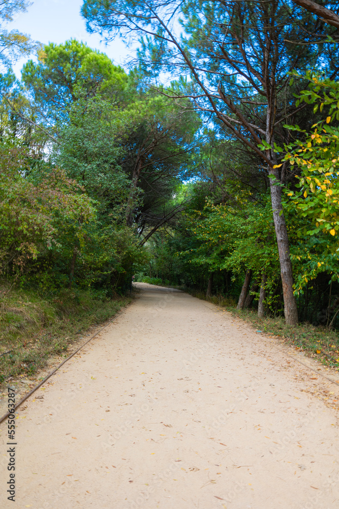 Jogging trail in Ataturk City Forest in Sariyer Istanbul Jogging trail in Ataturk City Forest in Sariyer Istanbul
