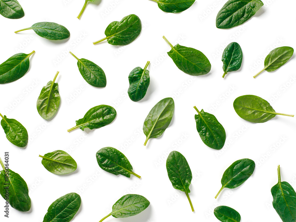 Pattern from baby spinach isolated Pattern from baby spinach isolated