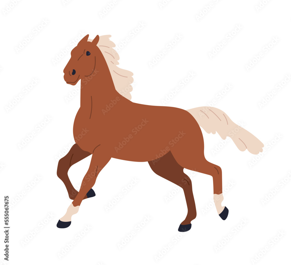 Horse running. Gallop, canter gait of strong stallion. Wild mustang with mane. Thoroughbred pedigreed bicolor racehorse in action, movement. Flat vector illustration isolated on white background