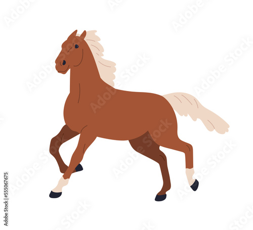 Horse running. Gallop, canter gait of strong stallion. Wild mustang with mane. Thoroughbred pedigreed bicolor racehorse in action, movement. Flat vector illustration isolated on white background