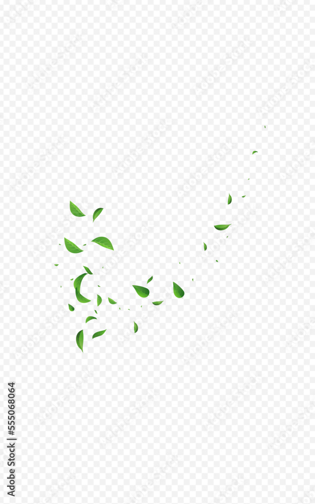 Olive Foliage Forest Vector Transparent Olive Foliage Forest Vector Transparent
