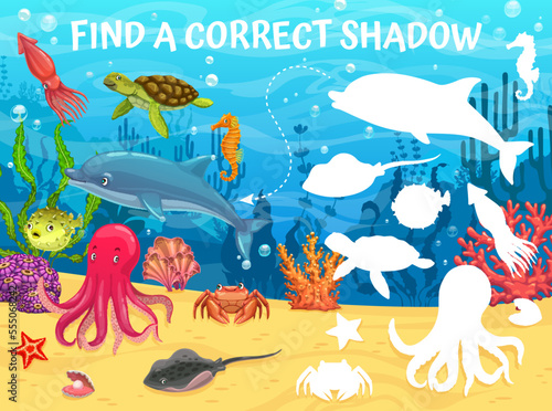 Find a correct shadow cartoon underwater landscape and animals. Kids matching game with dolphin, turtle, stingray, octopus and crab. Shell, puffer fish, squid or starfish silhouettes in ocean water