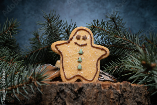 Homemade gingerbread man Christmas cookie, decorated with icing or frosting. Holiday Season winter composition, with tree branches.