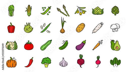 Raw vegetable color line icons. Farm harvest pictograms, natural food outline vector symbols or fresh vegetables icons set with salad, corn, pea, artichoke and olive, garlic, beet, onion and avocado