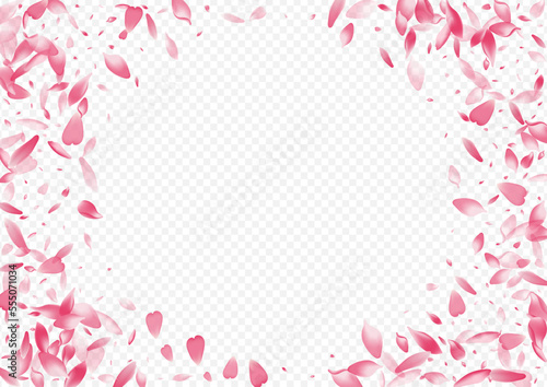 Color Petal Vector Transparent Background.