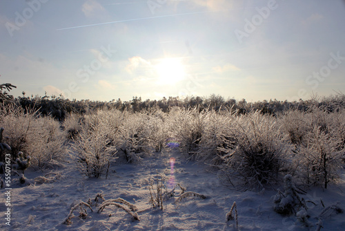 winter bright sun the effects of icy rain winter landscape snow and ice