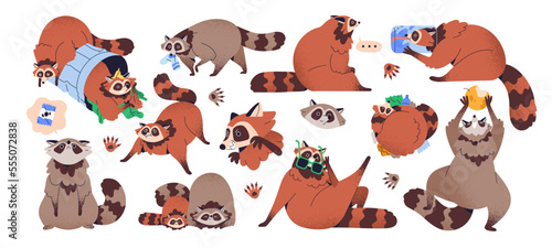 Cute baby raccoons set. Funny racoon characters in fun poses with trash can, garbage, food. Happy wild animal with furry fluffy tail. Childish flat vector illustrations isolated on white background