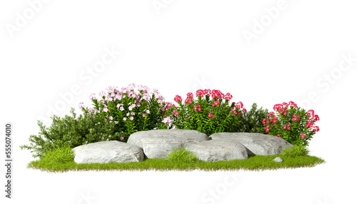 Fotografie, Tablou Garden design flower plants and rocks on transparent backgrounds 3d rendering