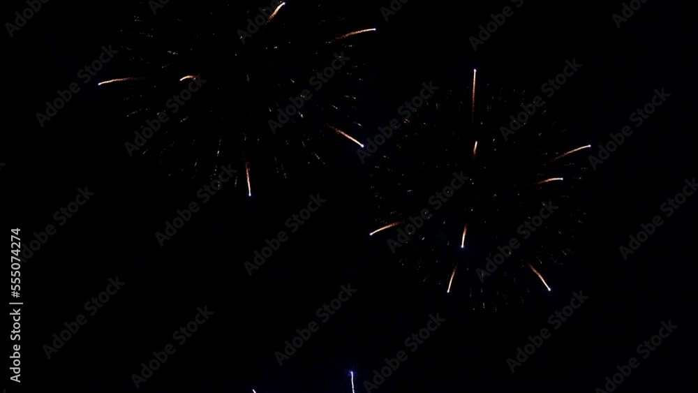 Magical Fireworks on Dark Sky Backgroudn Overlay Magical Fireworks on Dark Sky Backgroudn Overlay