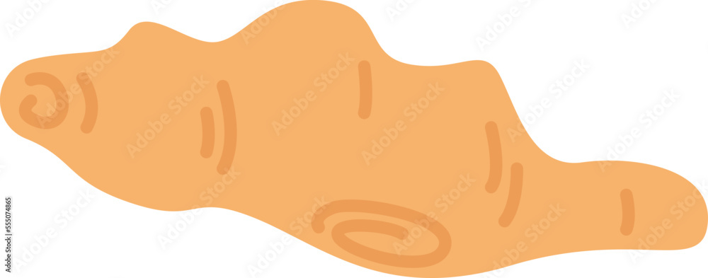 Ginger root for special taste flat icon Asian food Ginger root for special taste flat icon Asian food
