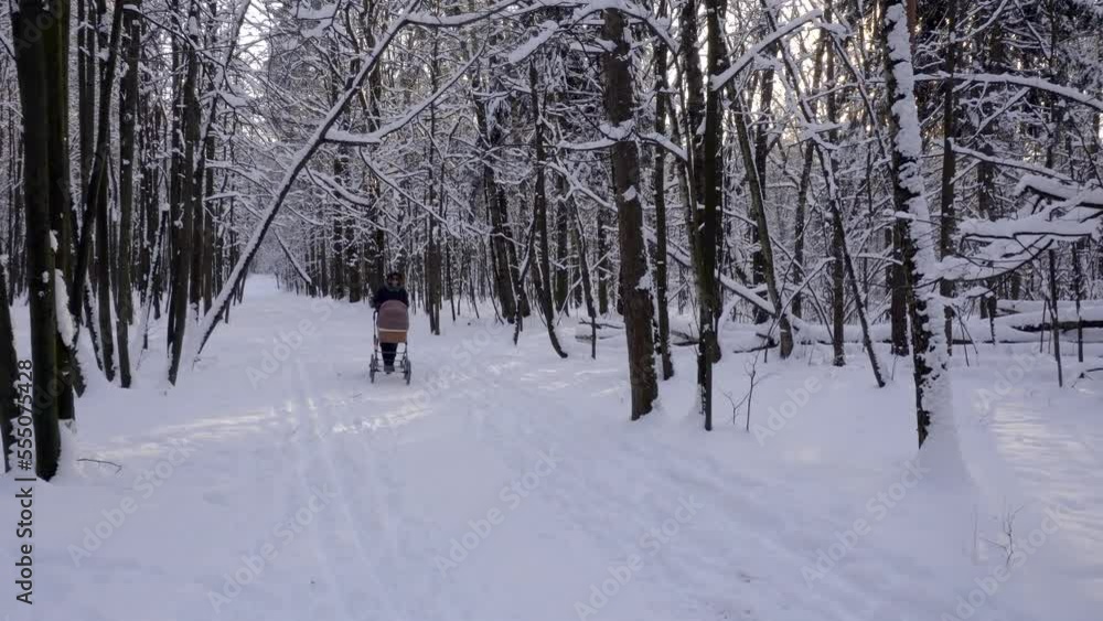Girl with the baby carriage is walking in a winter forest park. Girl with the baby carriage is walking in a winter forest park.