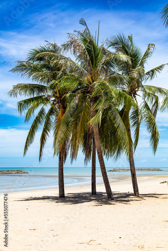 Fototapeta Naklejka Na Ścianę i Meble -  Vue verticale de palmiers sur la plage de Chaosamran