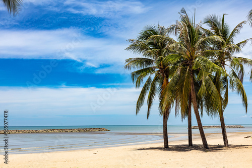 Palmiers sur la plage de Chaosamran