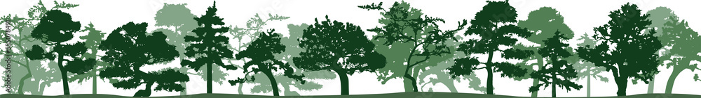 Obraz premium Green silhouette of trees. Isolated on vhite background.