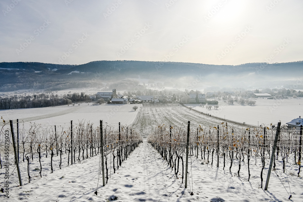 Fototapeta premium Mariastein, Kloster, Weinberg, Winter, Winterland-schaft, Landwirtschaft, Felder, Wanderweg, Winterspaziergang, Metzerlen-Mariastein, Dorf, Obstbäume, Obstbauer, Eis, Schnee, Nebel, Schweiz